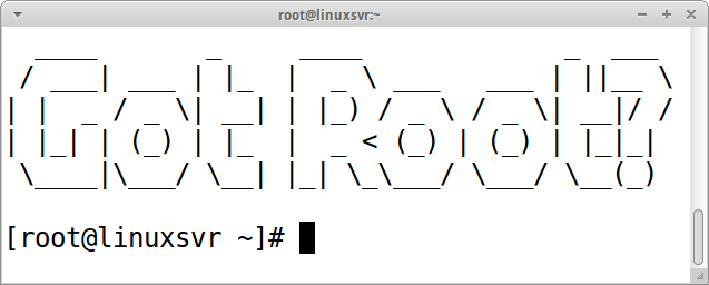 Linux root command line shell.