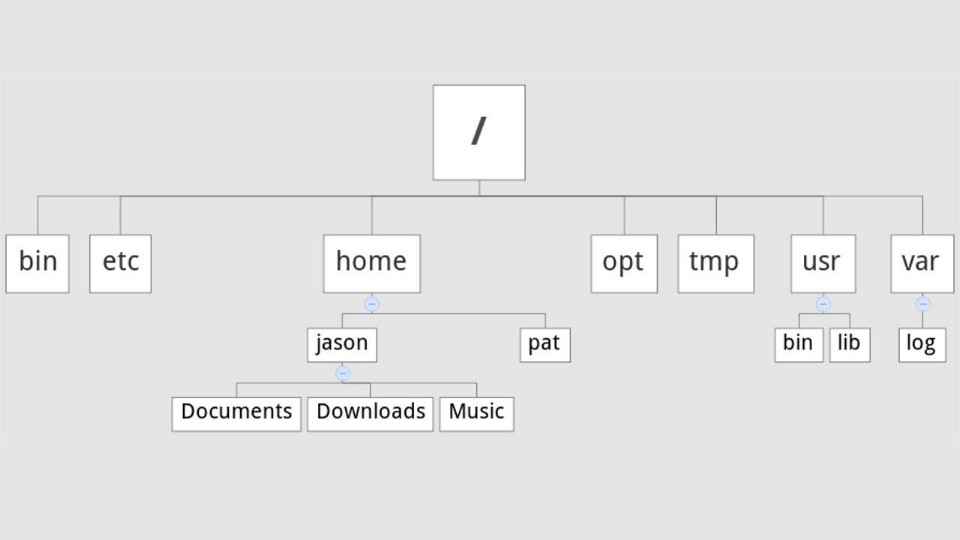 Linux Directory Tree