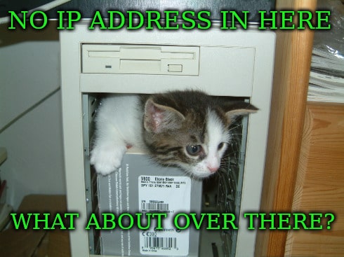 Cat IP Address