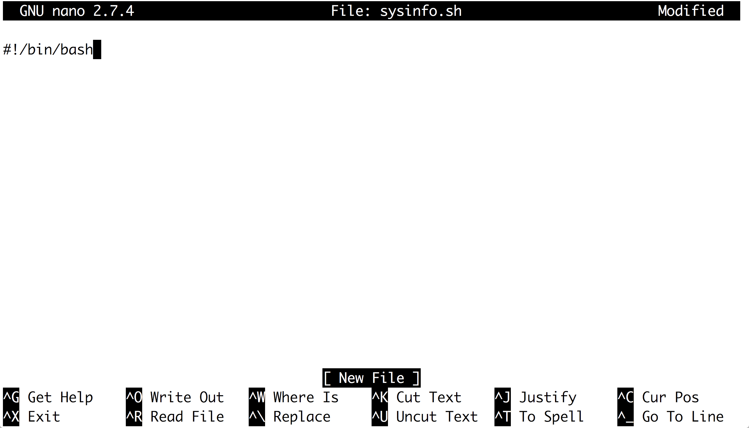 Getting Started with Shell Scripting: Writing Your First Script